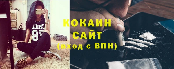 хмурый Няндома