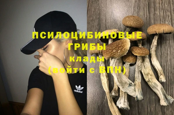 крисы Вязьма