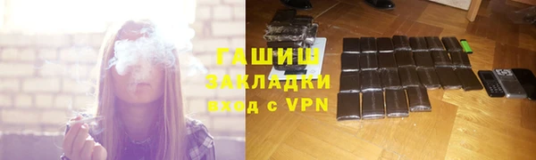 хмурый Няндома