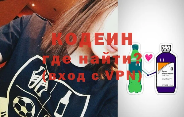 хмурый Няндома