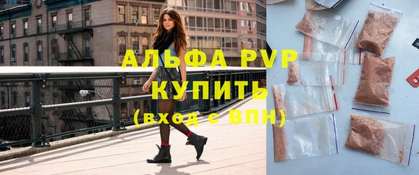 хмурый Няндома