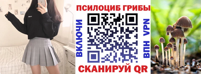 сколько стоит  Волоколамск  Псилоцибиновые грибы прущие грибы 