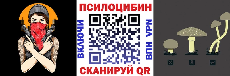 Псилоцибиновые грибы Psilocybine cubensis Волоколамск