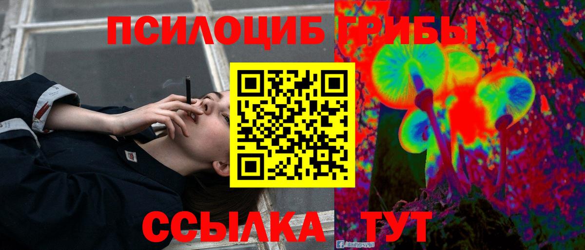 Псилоцибиновые грибы Psilocybine cubensis Волоколамск