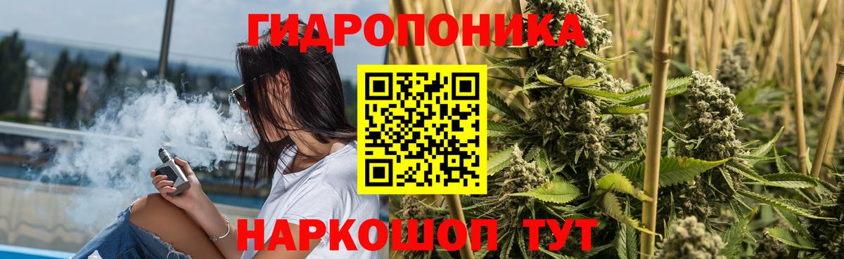 Каннабис конопля Волоколамск